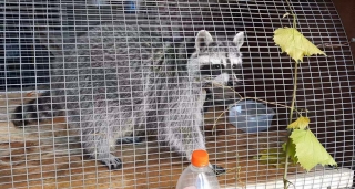 ��� ��������� ��������� ���� ����� ������� ��������� � ����