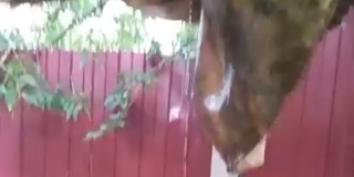 � ��������� �������� �� ����������� 3 ������ ����� � ������� �����