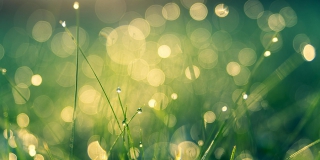 � ����������� ������� ������� ���� �� +37 ��������, �������� �����