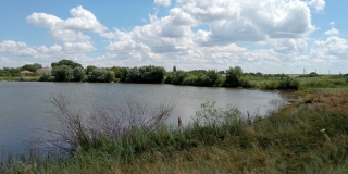 В Краснопартизанском районе глубина реки Большой Узень впервые достигла 5 метров