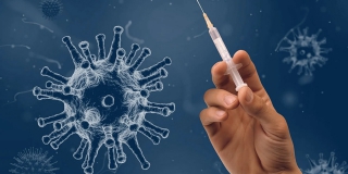 В Балашове фельдшера осудили за продажу справок о вакцинации от COVID
