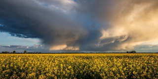 � ����������� ������� ������� �������� � ������� � ������������ �� +34