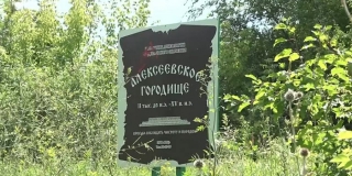 Прокуратура: Статус земельного участка в Алексеевском городище изменили без аукциона