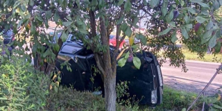 � �������� 13-������ ������� ������ � �������� ����� ���