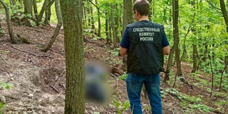 На Лесной республике обнаружили останки убитого человека