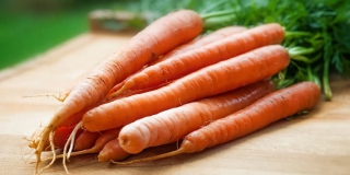 Сотрудники ФСБ не пустили в Казахстан 40 тонн подозрительной моркови