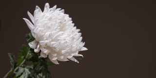 � ������������ �� ������� ����� ���� �� �������� ��������� �����