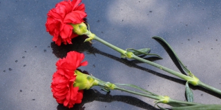 ���� ����������� �������� ������ ��������