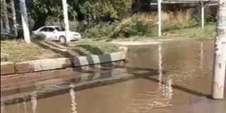 ������ �������� ������������ �� ������ �� ����� ����