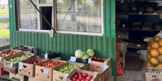 В Энгельсе в 4 из 5 проверенных точек нашли нелегальных работников В Энгельсе в 4 из 5 проверенных точек нашли нелегальных работников