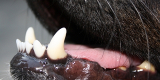 ��������� ����������������� ����� ��������� ����������� ������ �� �����������