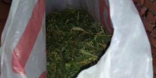В Духовницком районе у мужчины изъяли 615 граммов марихуаны