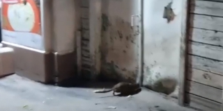 �� ������������� ������� �������� ������� ��������� �����