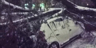 Саратовцы делятся фото первых снеговиков и упавших деревьев