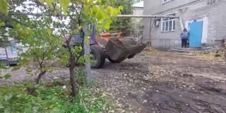 Прокуратура заставила УК спилить опасные деревья около дома в Заводском районе