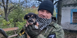 ����������� ��������� ��� ����� �� ������ ����������� ����� � �����