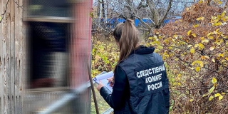 В Ленинском районе женщина нашла соседа по даче мертвым
