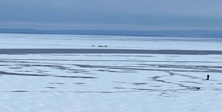 Под Красноармейском на Волге спасли 13 рыбаков на льдине