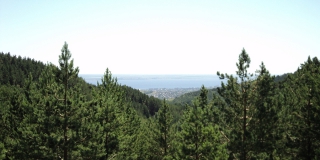 В Саратовской области в 2023 году появятся новые охраняемые природные зоны В Саратовской области в 2023 году появятся новые охраняемые природные зоны