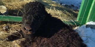 ��������� ������������� �� ��� ���� ��� �������������� �������� ���