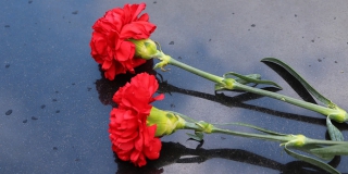 � ������ ������� ���������� � ���������� ��� ����������� ���������� 