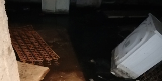 В энгельсском Пробуждении жители жалуются на затопленный фекалиями дом