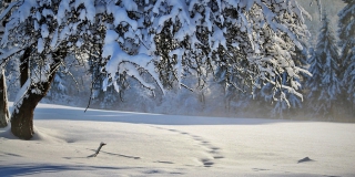В Саратовской области снегопады прогнозируются после пасмурных выходных