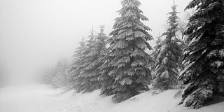 В Саратовской области прогнозируют оттепель, снегопады и туманы