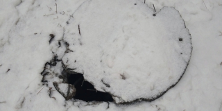 В Ленинском районе возле места гибели мальчика в колодце нашли открытый люк В Ленинском районе возле места гибели мальчика в колодце нашли открытый люк