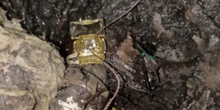 ���: �� 419 ���� ������������ ����������� ��������� ����� � 233 ������ ������