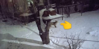 ������ �������� �� 4 ���� �������� � ����� ��-�� ����� ����