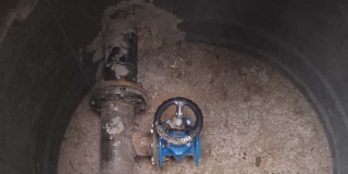 ��� �������� 319 ������ ����������� �� ����� ����������