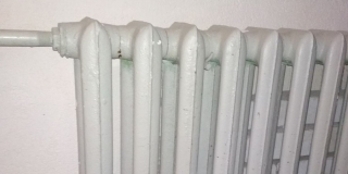 � ��������� ������ 17 ����� �������� ��� ��������� �� ������