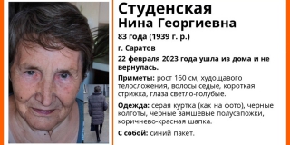 В Саратове ищут пропавшую 83-летнюю пенсионерку с синим пакетом