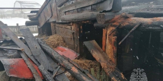 В Новобурасском районе 3 свиньи и поросята сгорели в сарае