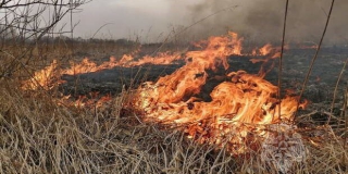 В Саратовской области введен особый противопожарный режим