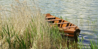 �� ������� ���� � ����� ����������� ������� �������� 15 ��� ������