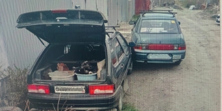 � ��������� ������ ���������� ����� ������ ��������