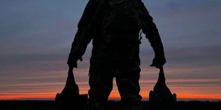 � ����������� ������� ����������� �������� ����� �� ����