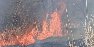 В Кировском районе тушат крупное возгорание травы