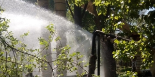 �� ���������� ���������� �������� � ����������� � �������