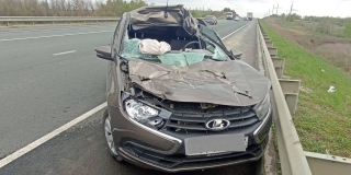 В Гагаринском районе легковушка влетела в грузовик. Есть пострадавший В Гагаринском районе легковушка влетела в грузовик. Есть пострадавший