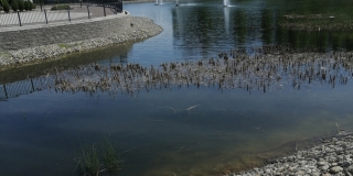 ���������: ���� � ������ ������ �������� ���������� � ������� ����