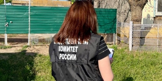 ��� ��������� ������� ��������� �� �������� ������ � �� 14-������� �����