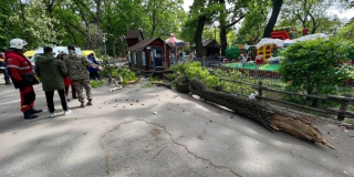 � �������� �������� �������� �������� � ������� �������� ��������