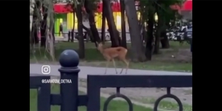 �� ��������� 50 ��� ������� �������� ��������� ������