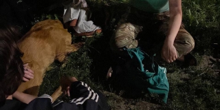 ���������� �� 2-� ������ ������ ����� ������� ��-�� ������ ������