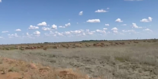 � ������������-������� ������ ����� �������� ������� ���� ���������� ����������