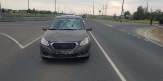 � ������ ���������� �������� ���� 13-������� �������������