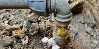 ���: �������� �������� ������� �������� ����� �� ����� ����� 350 ����� ������